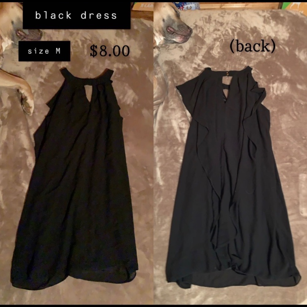 Clothes - Picture 3 of 8